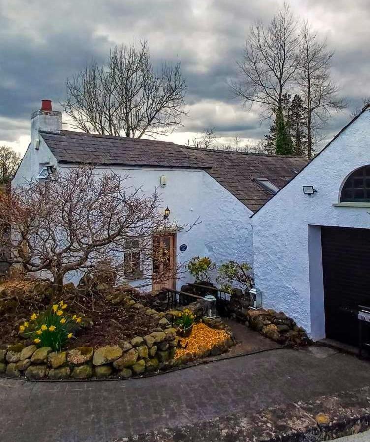 Riverside Cottage At Logwood Mill Ballyclare Exterior photo